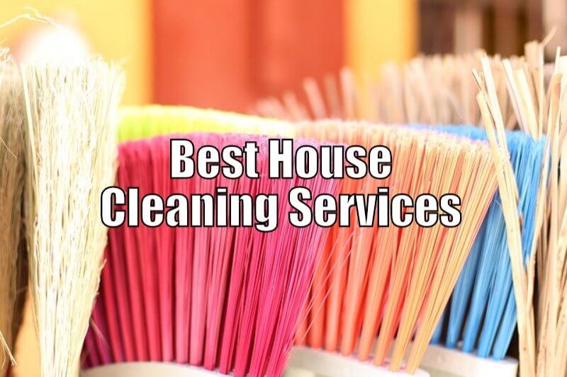 Best House Cleaner
