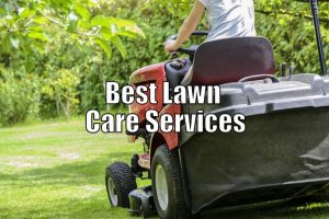 Best Lawn Care Services