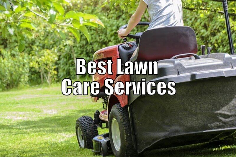 Best Lawn Care